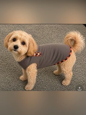 Dog vest